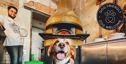 Dog friendly pizzeria in Ljubljana